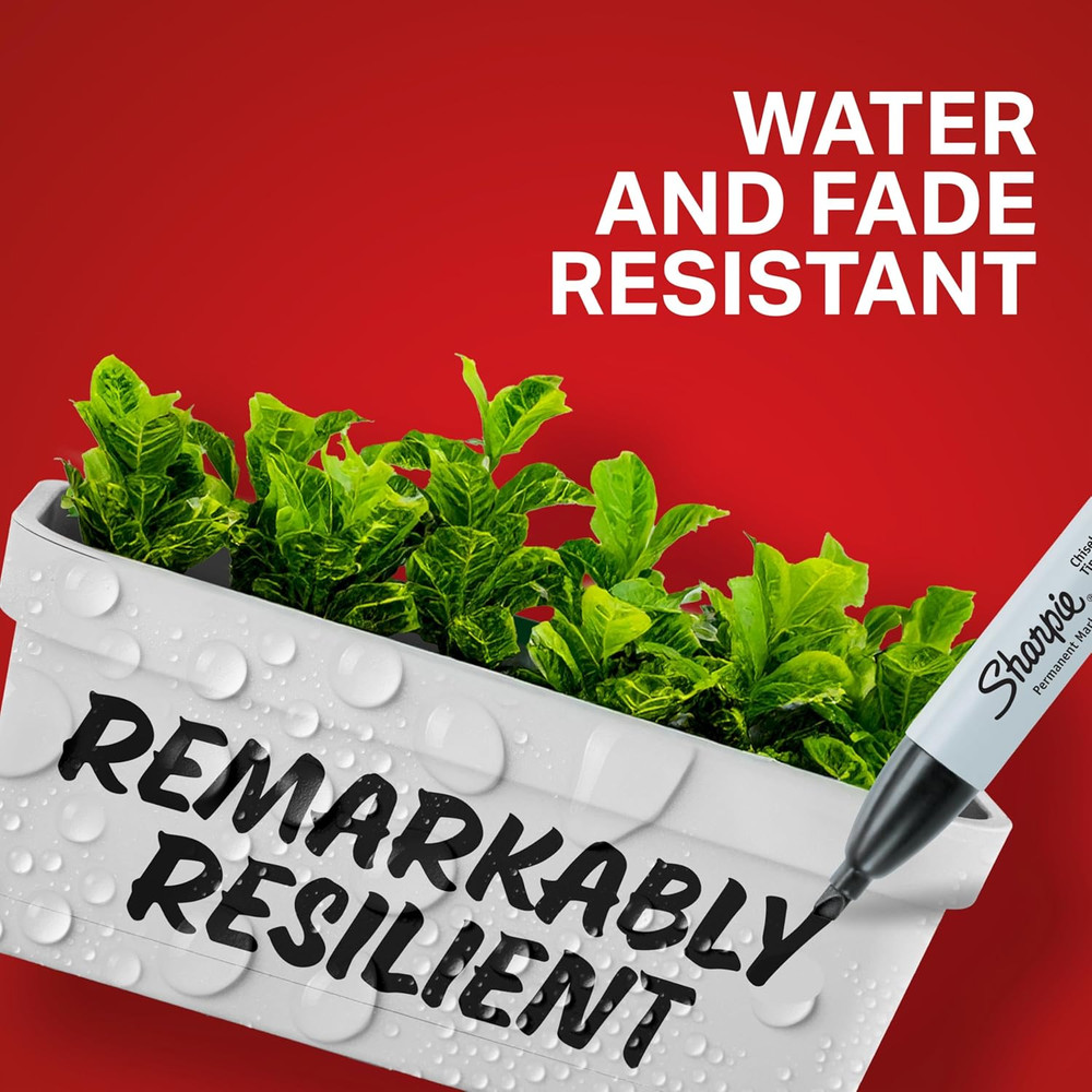 Permanent Markers, Chisel Tip, Red, 12 Count