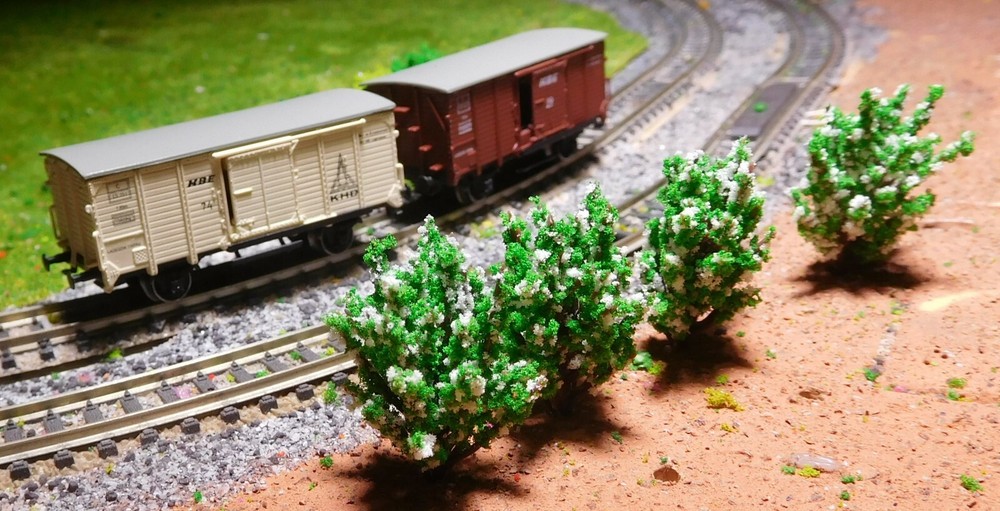 50 White Flowering Bushes, 40 Mm High