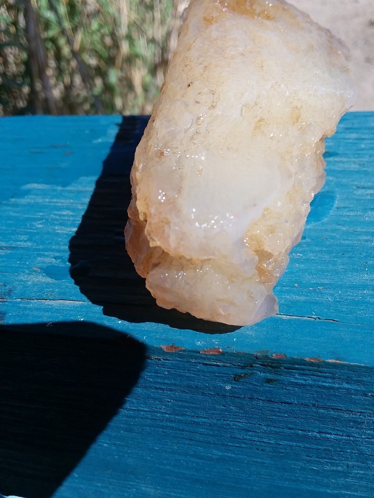 Chalcedony Filling Possible Petrified Would Opalized
