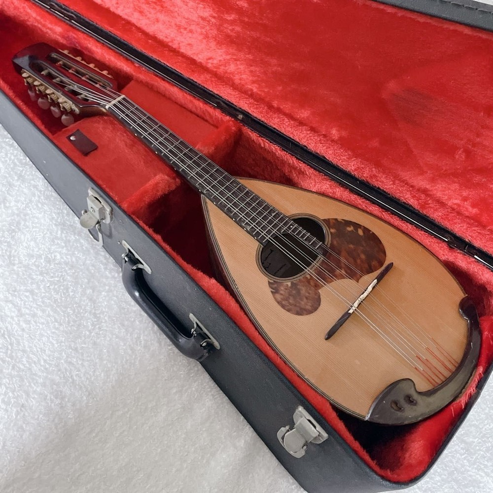 SUZUKI Mandolin M-60 with hard case