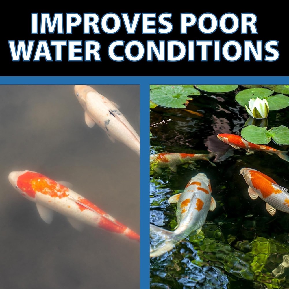 Barley Extract Water Treatment, Fish & Plant Safe