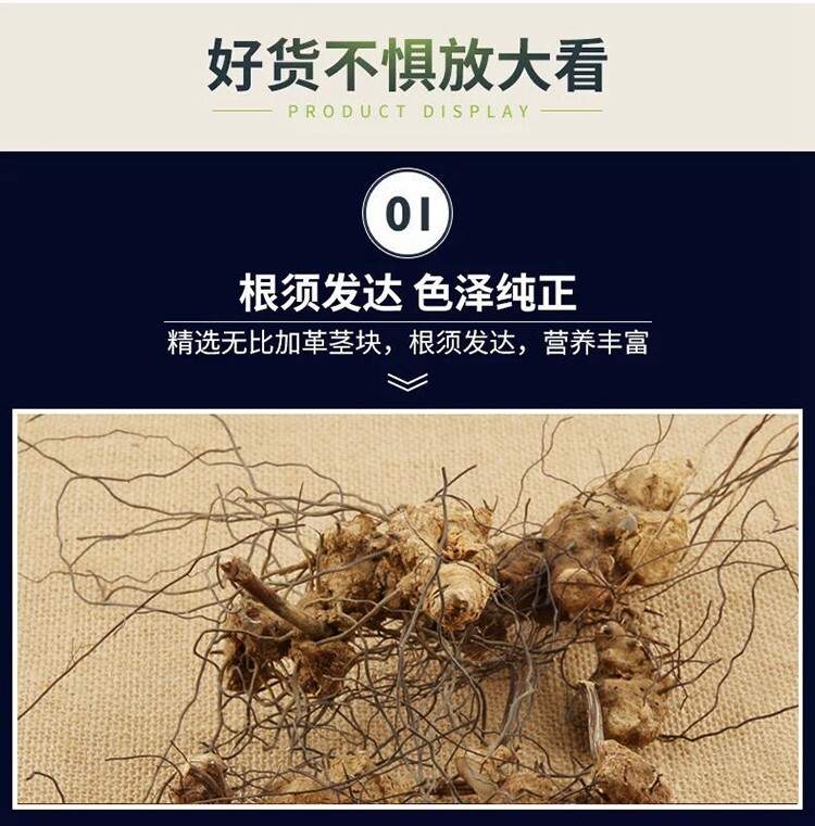 Malaysia Pure Natural Increased Male Sexual Function 正品 马来西亚 无比加革 原果250g天然壮阳男性佳品
