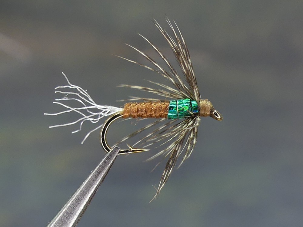 6 Flies - Emerging Midge Pupa