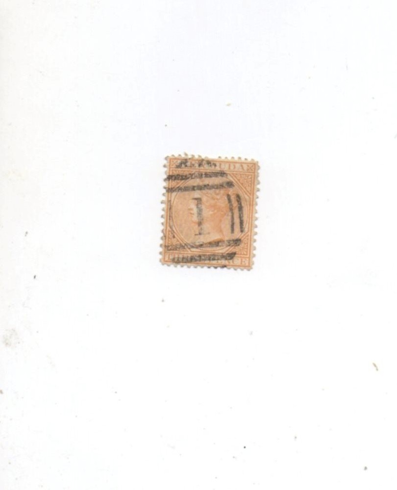 Bermuda used Scott 7