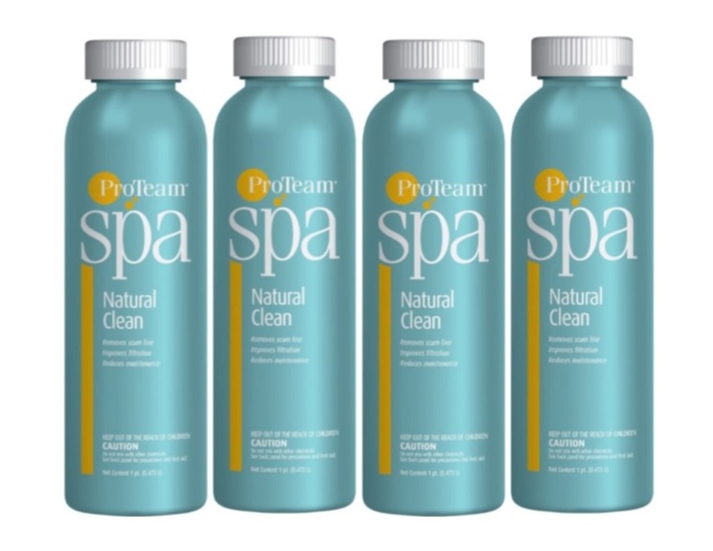 4 Proteam Natural Clean - 1 pt