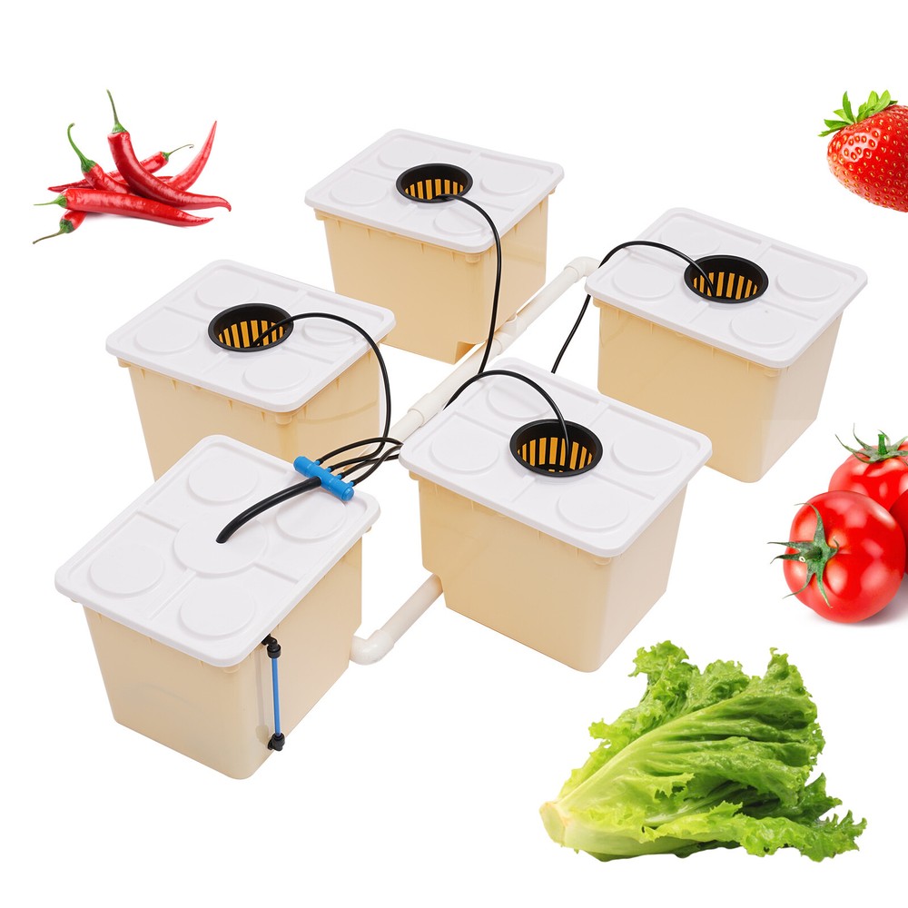 Hydroponics Deep Water Culture DWC Hydroponic System buckets Drip Growing System