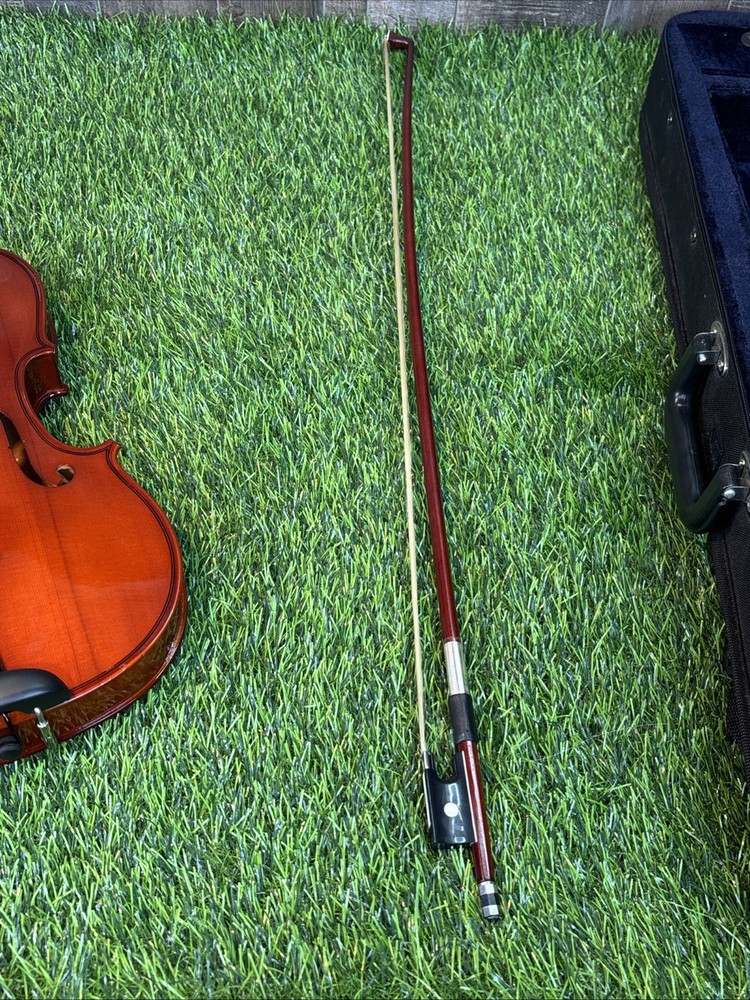 Unbranded 4/4 Violin w/ Case & D’Addario Prelude Strings – Missing 1 String