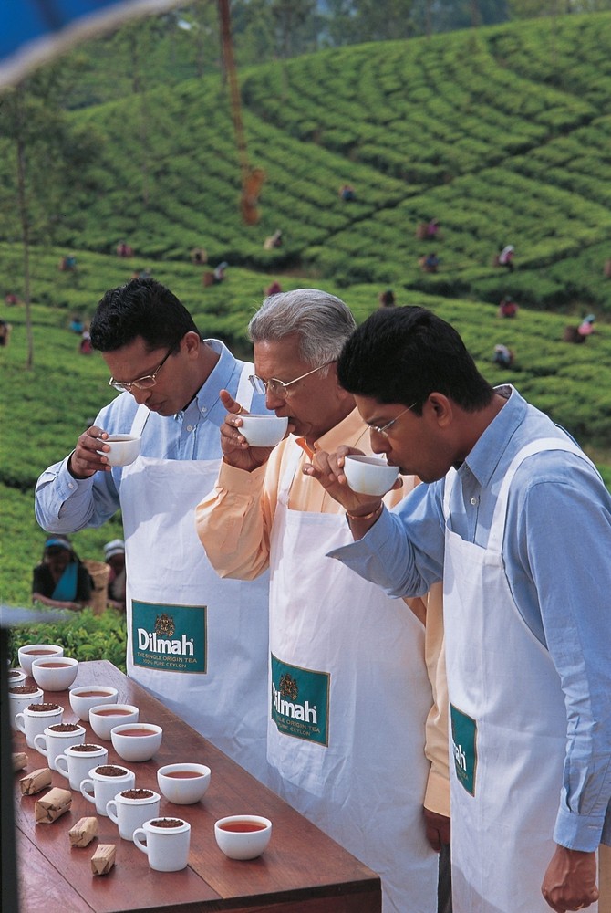 Dilmah Premium Quality Ceylon Tea 50 Bags