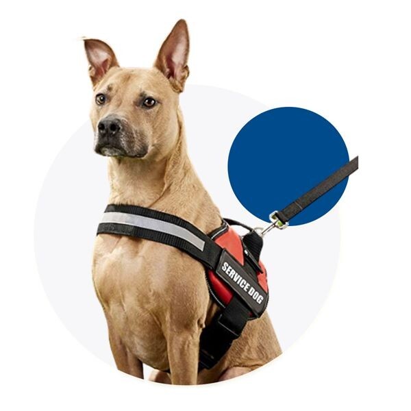 Service Dog No Pull Reflective Harness | All Sizes ADA Vest