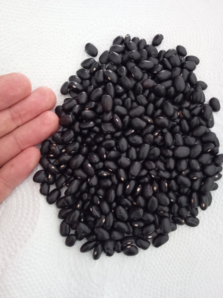 Black beans