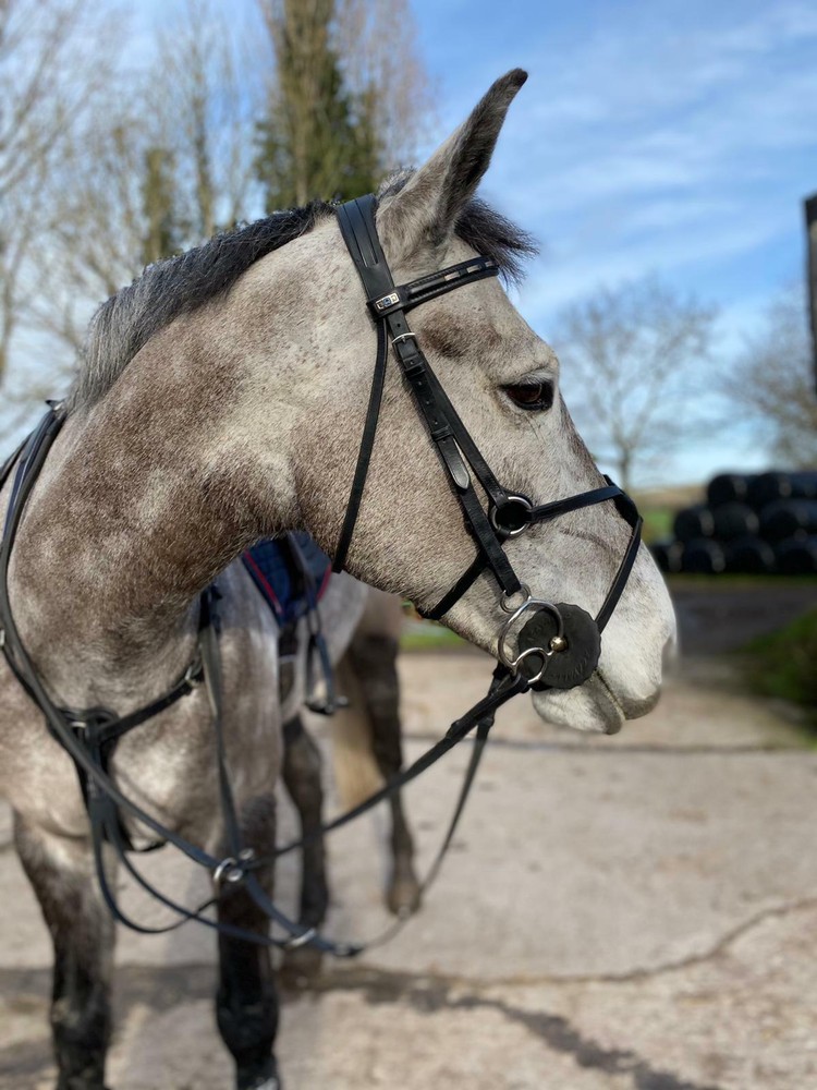 Universal 3 Ring Gag Verbindend Angled Bit (UKSALES25®) *SAME DAY DISPATCH*