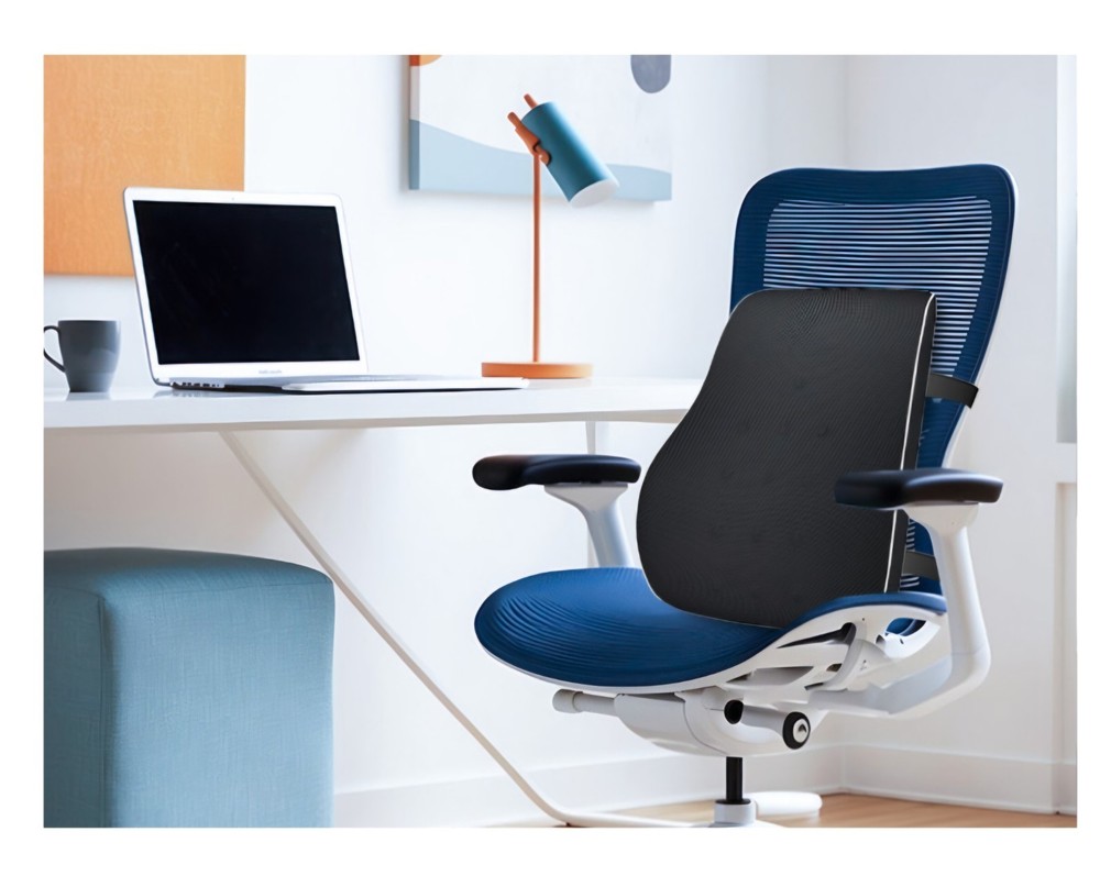 Lumbar Support Pillow for Office Chair,Office Home Essentials,Back Support Pi...