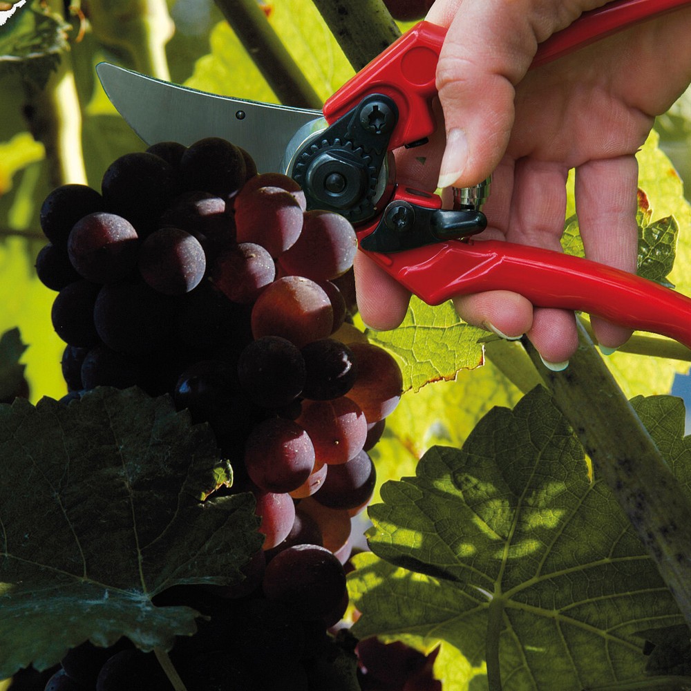 Berger Pruning Hand Shear with Replaceable Blade + Wire Cutter, 11"