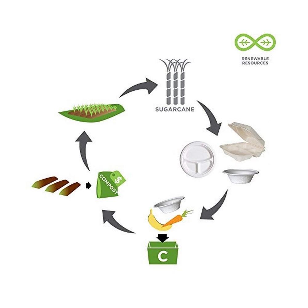 Eco-Product EP-B002 Plant Based Plastic 2 Compartment Renewable and Compostab...