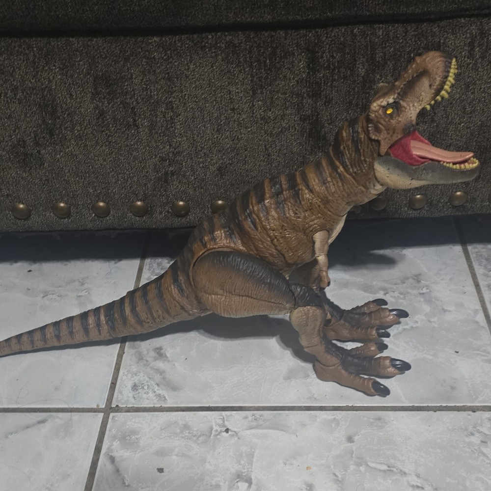 hanmond collection trex