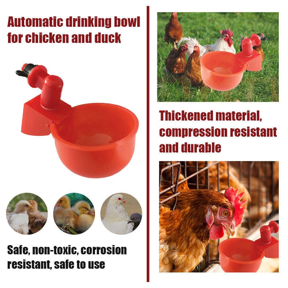 8Pcs Automatic Water Cups Poultry Drinker Waterer Chicken Ducks Quail Drinking