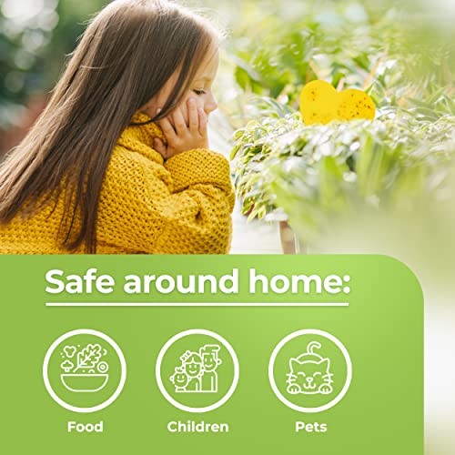 Fruit Fly Trap (20 Pack), Double-Sided Yellow Sticky Traps for Kitchen &