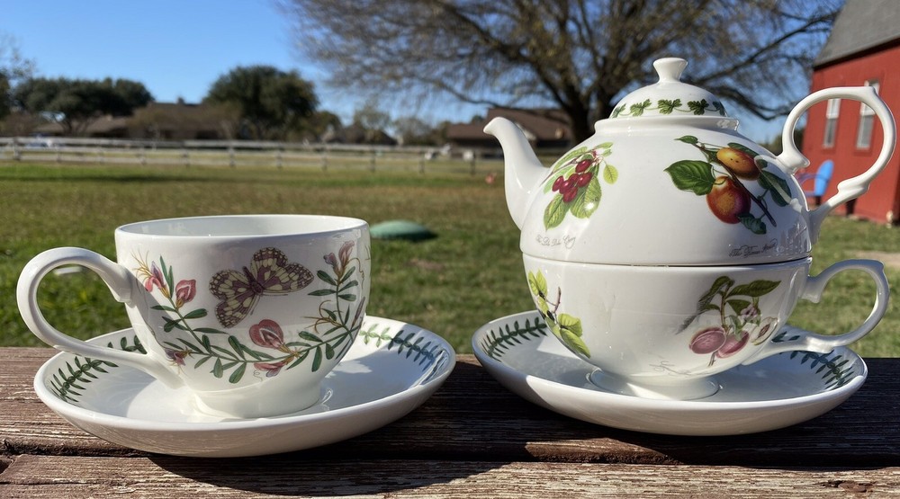 6pc Portmeirion Tea Set