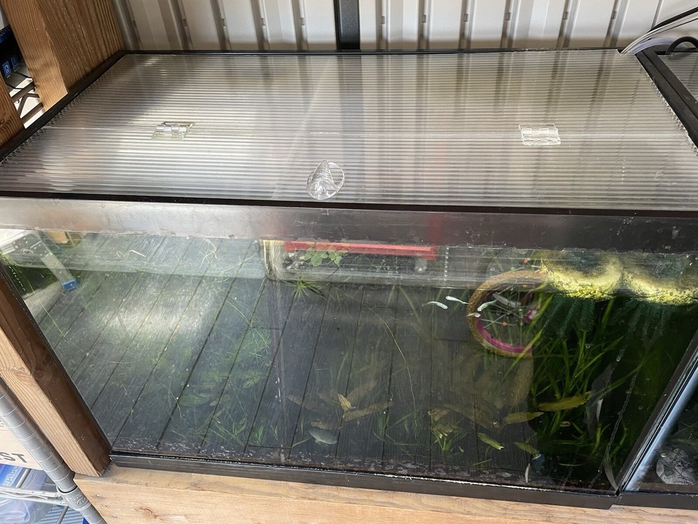 Aquarium Lid Polycarbonate Twin Wall 20 Gallon