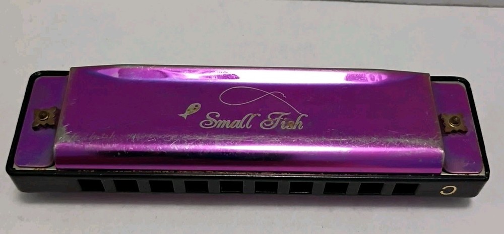 Small Fish Beginners Harmonica Harp 10 Hole Diatonic 10 Hole
