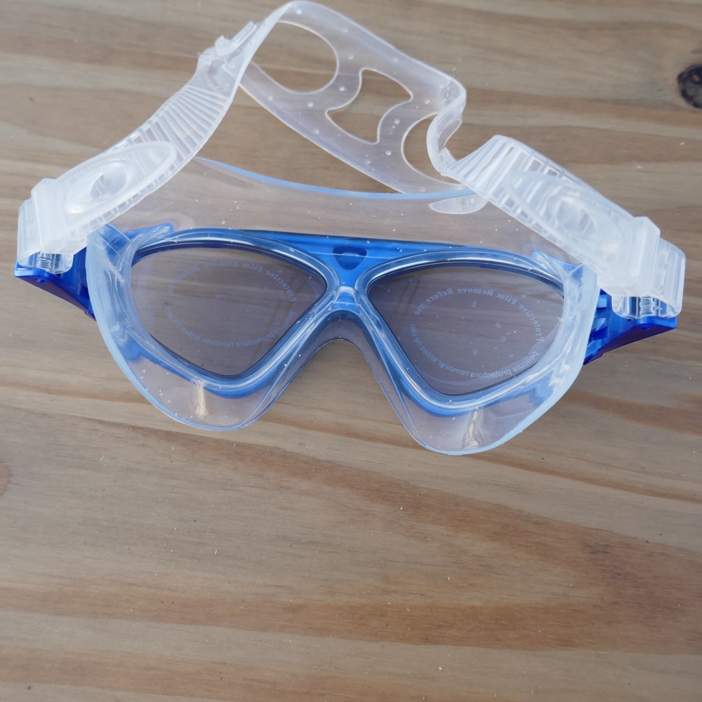 Outdoor Master Goggles Blue And Clear With Case