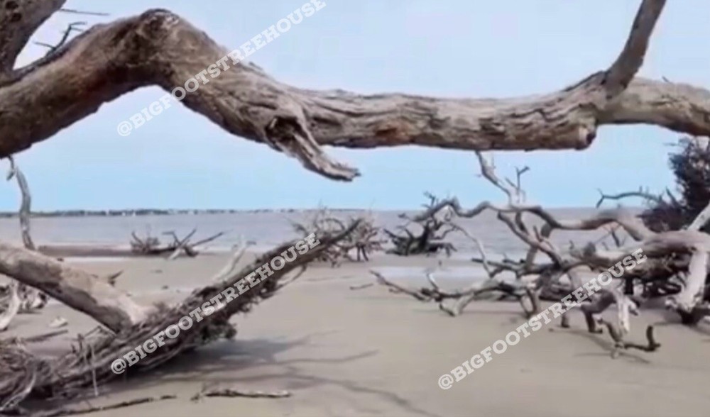Walking Dead Oceanside Filming Location Sand