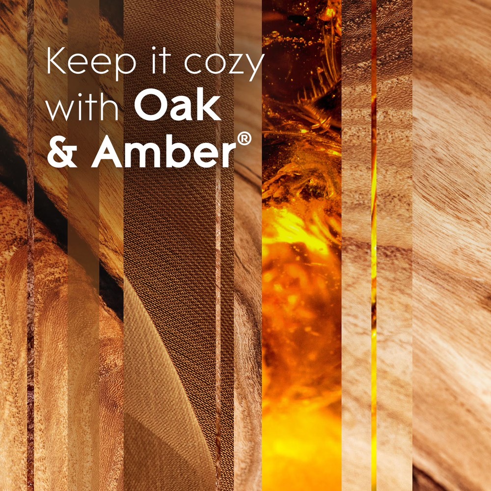 Glade PlugIns Scent Oil Oak Amber Refills 5 Pack