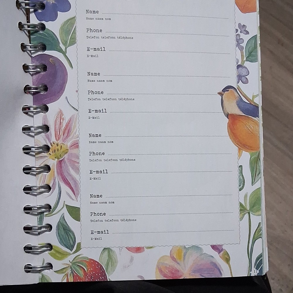 Daphne's Diary 2026 Large Spiral-Bound Weekly/Monthly Planner Paperboard