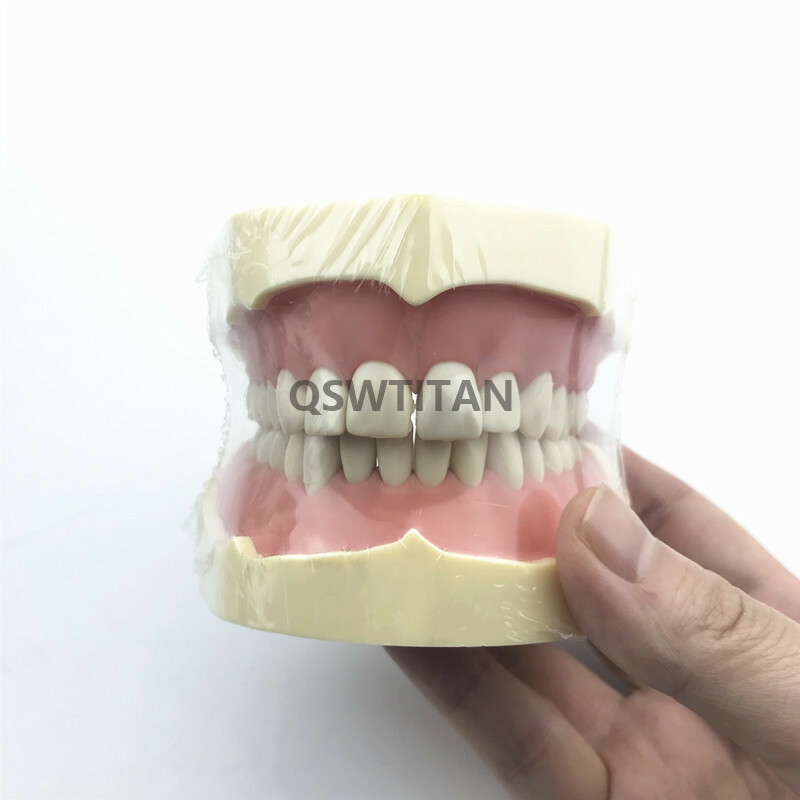 Dental Simulator Manikin Phantom Head practical exercises Head model