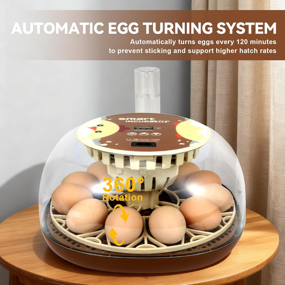 Simple 12-Egg Incubator for Beginners, Auto Egg Turn, Steady Self-Regulating Hum