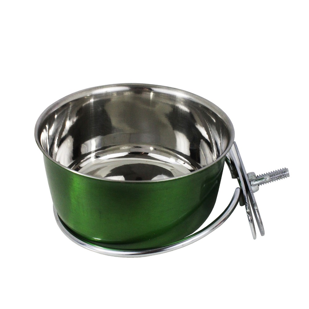 Starter Package for Squirrels