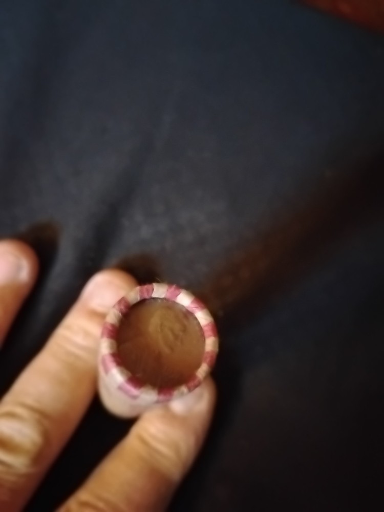 1 Roll Of 1976 Mixed Mint Marks