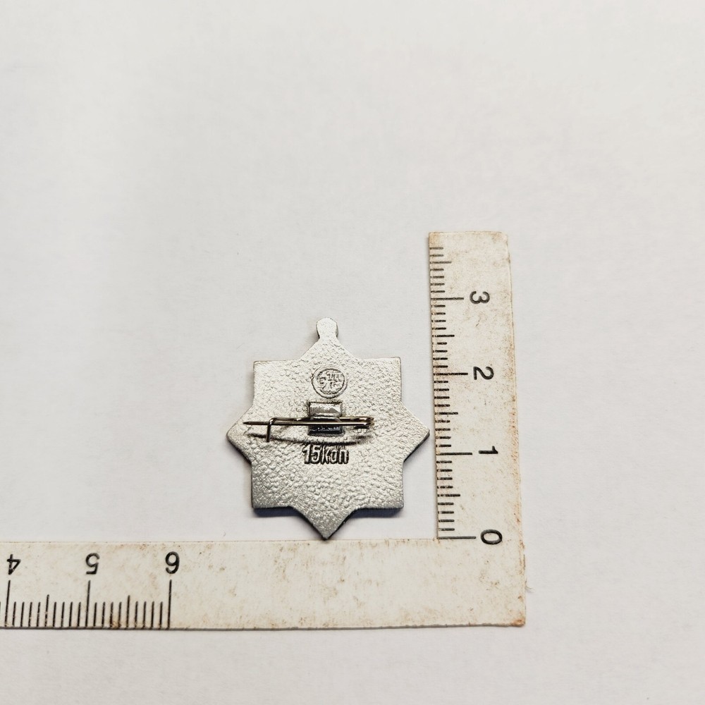 Vintage Russian Pin. A9.