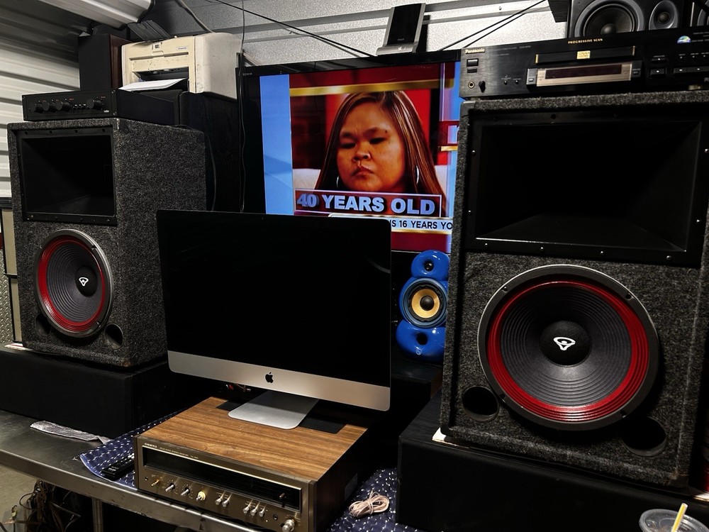 Cerwin Vega V12-B Speakers Pair