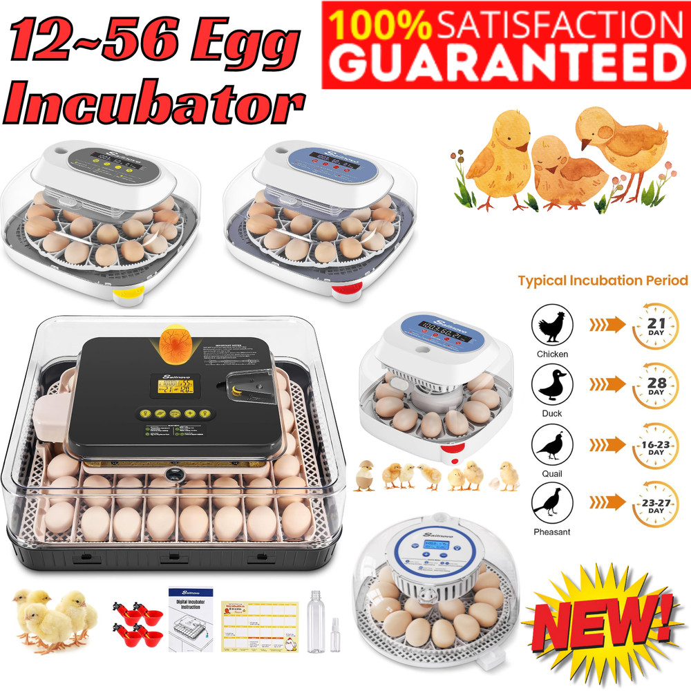 12/18/24/56 Egg Incubators for Chicken Egg with Automatic Egg Turning 360° View-