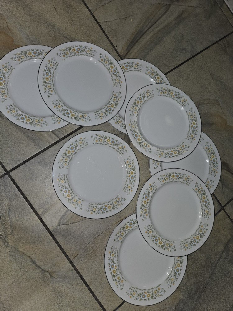 38 Peice Carlton China Concerto #480 Set