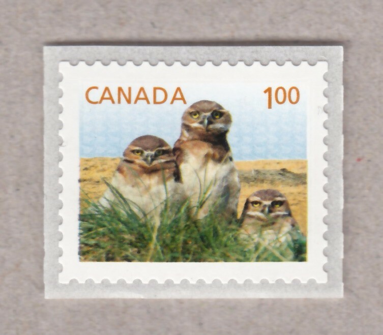 BURROWING OWL = small definitive COIL (Roll) stamp Canada 2014 #2710 MNH