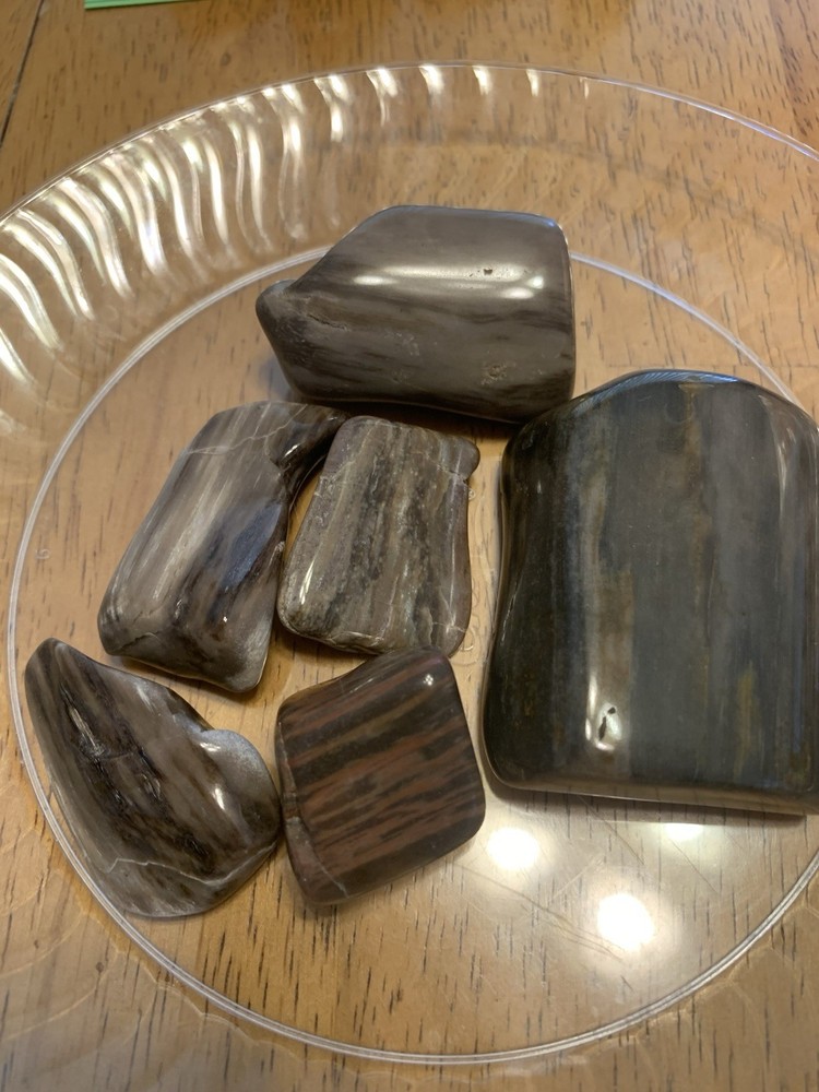 Amazing Petrified Wood Pieces #2   7.5 oz.