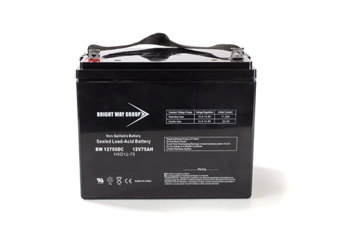 Toyo Battery 6GFM65 Battery (Replacement)