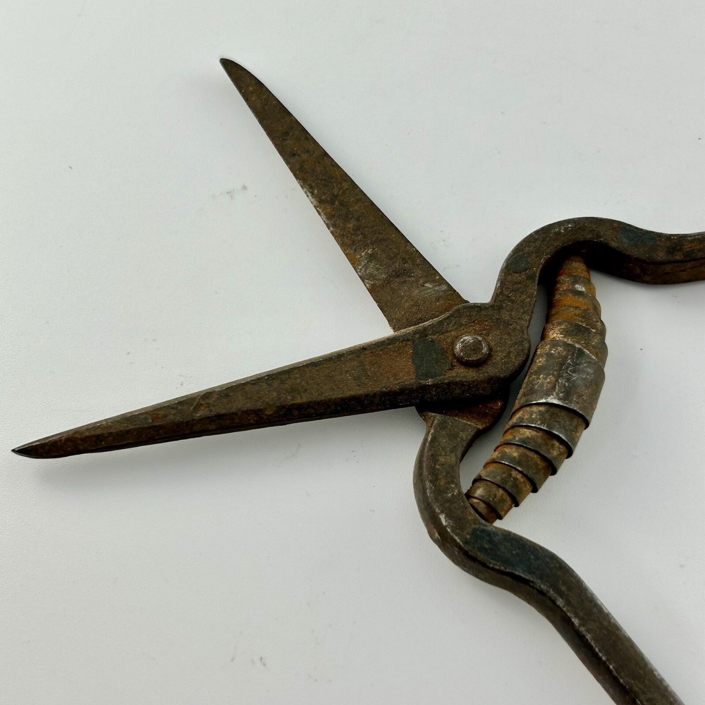 RARE Antique Scissors Primitive Spring Rustic Decor Stylist Collect Tool Crom?
