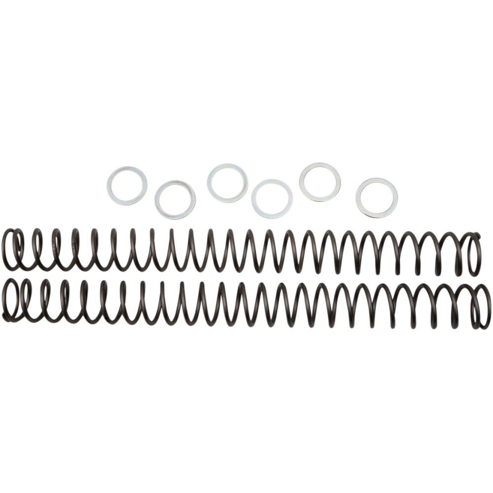 Race Tech Fork Springs - 0.38 kg/mm | FRSP 444538