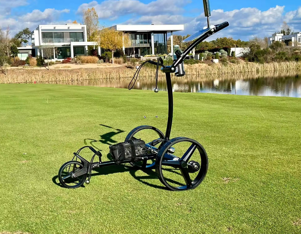 Remote Controlled Electric Golf Bag Push Pull Cart Trolley
