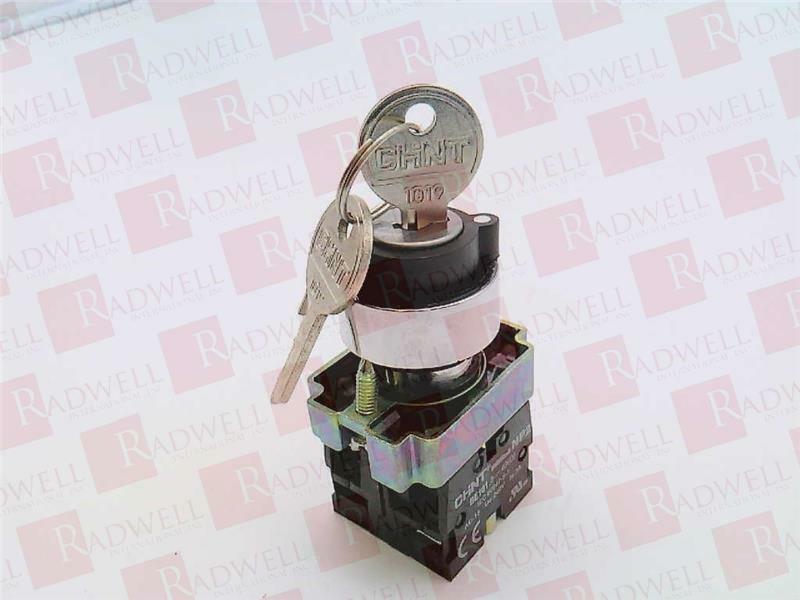 CHINT NP2-BG25 / NP2BG25 (NEW IN BOX)