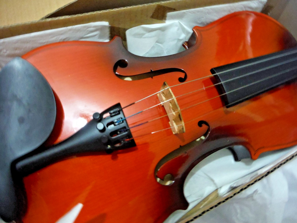 Easter 4/4 Violin NIB