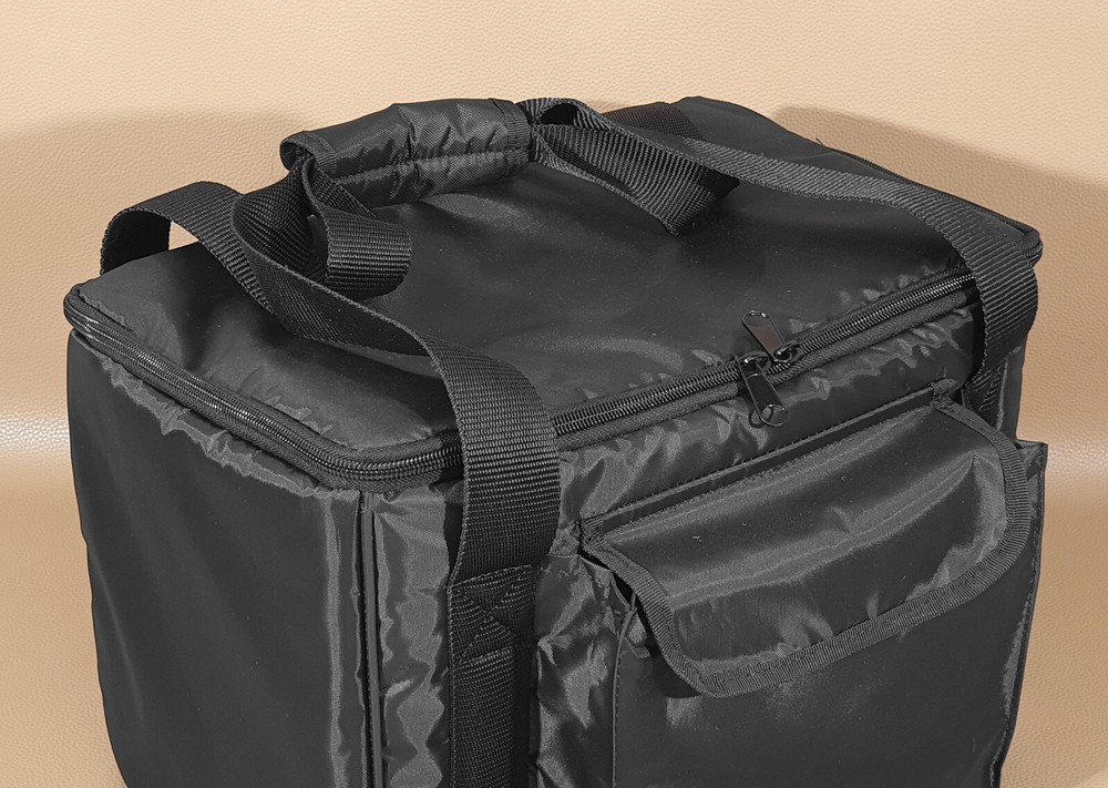 Custom padded BAG for Positive Grid Spark EDGE smart amp