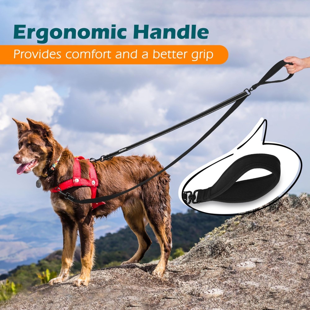 Two Point Control Dog Leash, Works with No Pull Harnesses, No Tangle Training...
