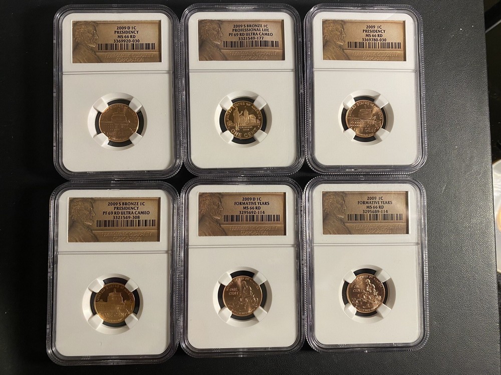 17 Lincoln Cent NGC Collection 2009-2010 Diff. Mint Marks/Different Grades/Type