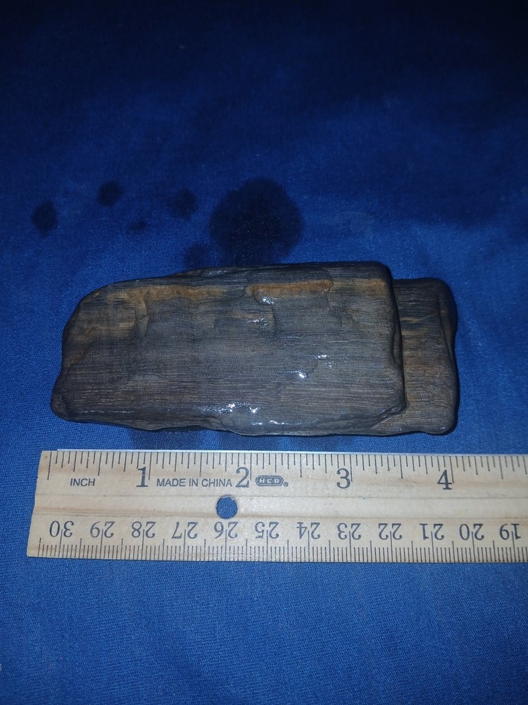 5 oz Texas Black Petrified Wood