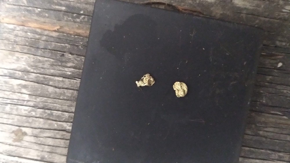 Gold Nuggets
