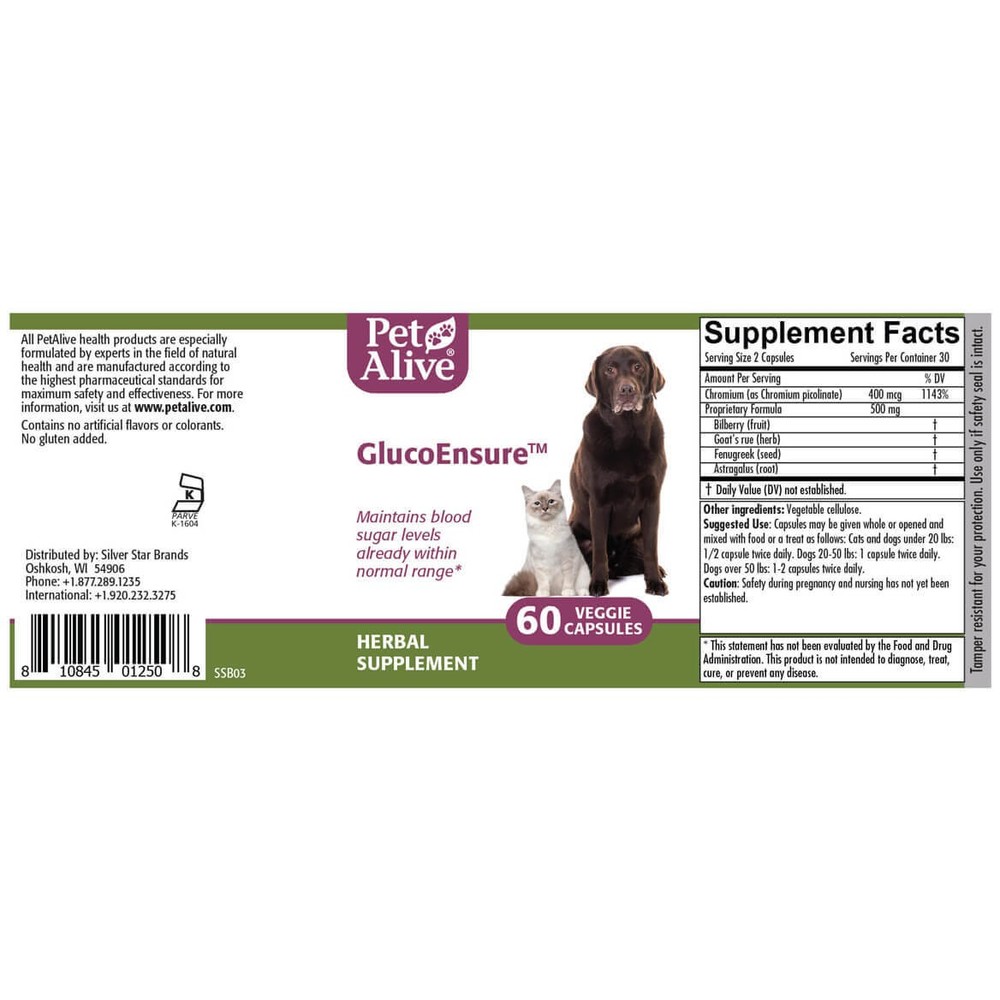 Native Remedies GlucoEnsure